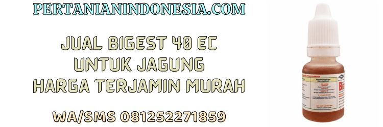 jual,murah,terjangkau,toko pertanian terdekat,pertanian indonesia